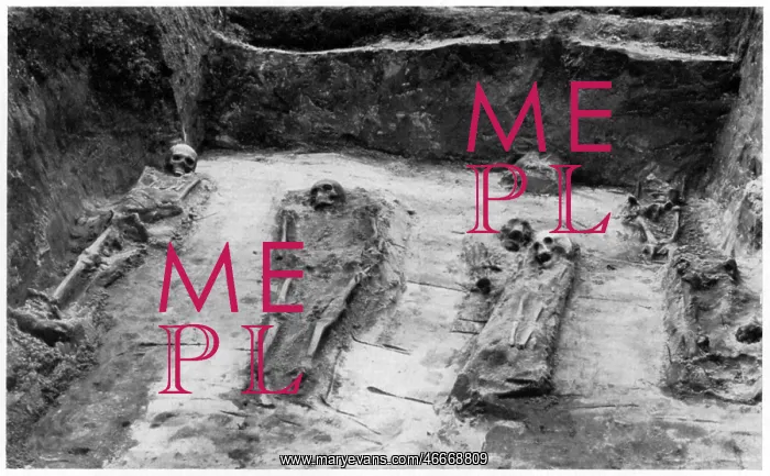 : archeology, excavations, Germany, Hedeby, grave : archeology, excavations, Germany, Hedeby, grave
