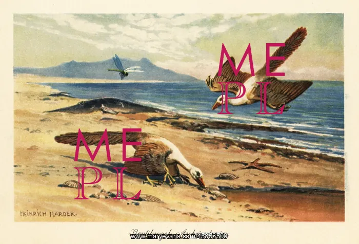 : Two Archeopteryx foraging on the shore : Two Archeopteryx foraging on the shore