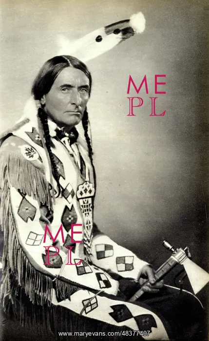 : Archibald Stansfeld Belaney, British-born conservationist : Archibald Stansfeld Belaney, British-born conservationist