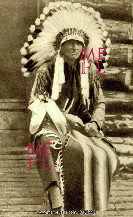 : Archibald Stansfeld Belaney, British-born conservationist : Archibald Stansfeld Belaney, British-born conservationist