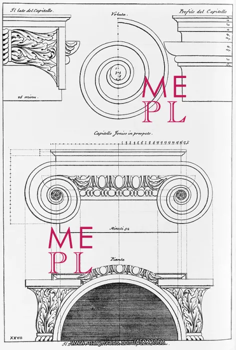 : Architectural drawing for an Ionic capital ? : Architectural drawing for an Ionic capital ?