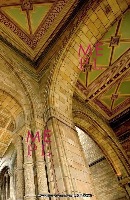 : Architectural features of the Main Hall : Architectural features of the Main Hall