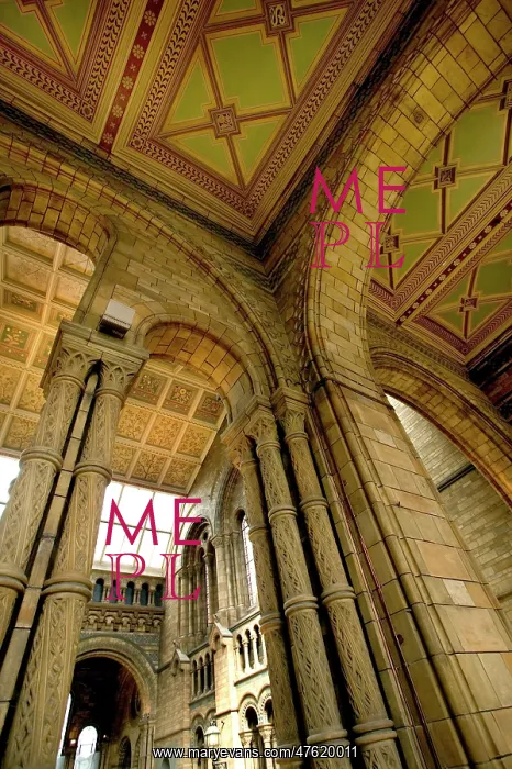 : Architectural features of the Main Hall : Architectural features of the Main Hall