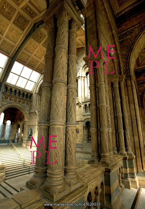 : Architectural features of the Main Hall : Architectural features of the Main Hall