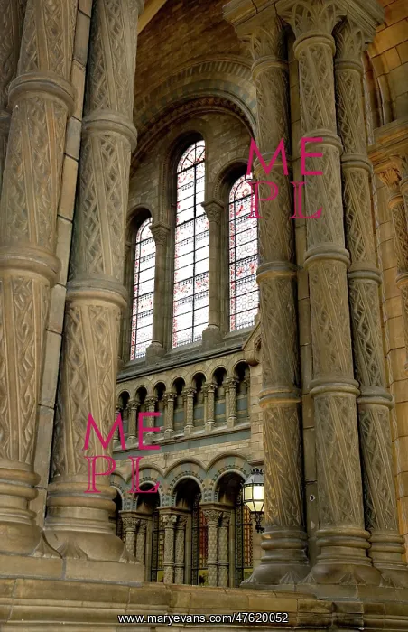 : Architectural features of the Main Hall : Architectural features of the Main Hall