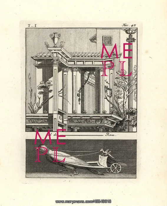 : Architectural painting of an Ionic portico : Architectural painting of an Ionic portico