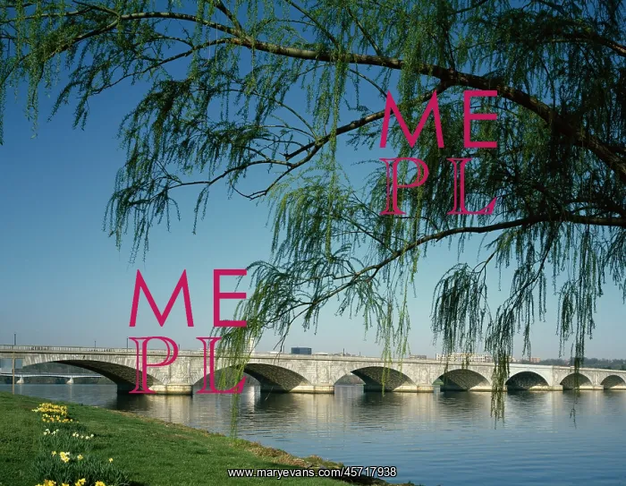 : Architecture - bridge - Washington DC - Arlington : Architecture - bridge - Washington DC - Arlington
