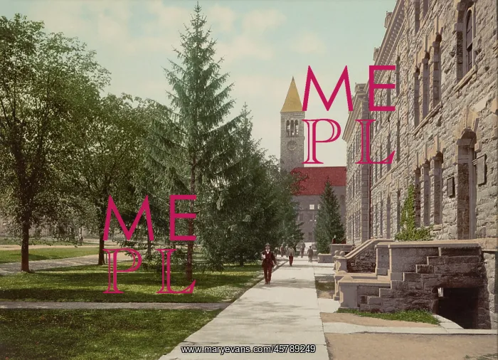 : architecture - college - university - Cornell : architecture - college - university - Cornell