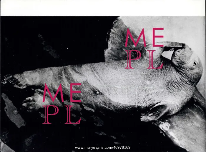 : Architecture - Construction - Design - Housing : Architecture - Construction - Design - Housing