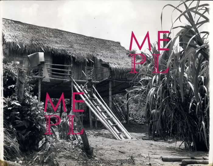 : Architecture - Construction - Design - Housing : Architecture - Construction - Design - Housing