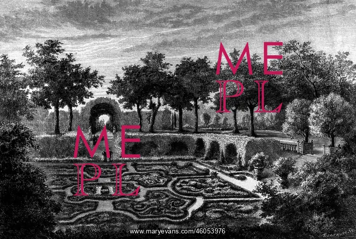 : architecture, gardens, Tuileries Garden, layed : architecture, gardens, Tuileries Garden, layed