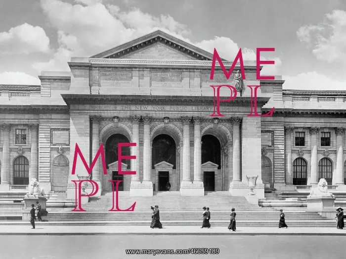 : Architecture - Public Library - New York City : Architecture - Public Library - New York City