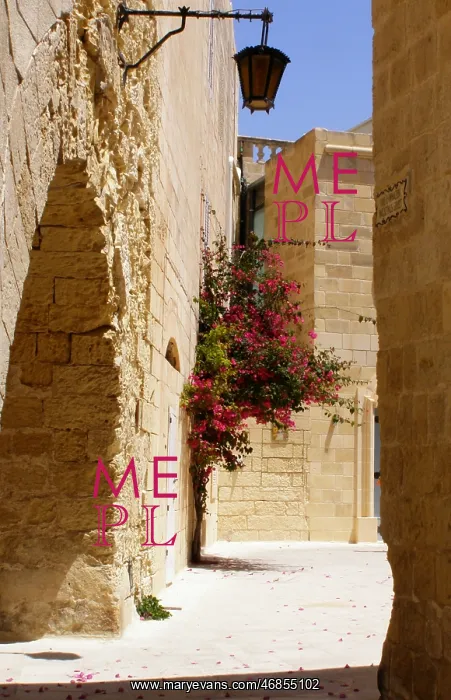  : Archway and walls, Mdina