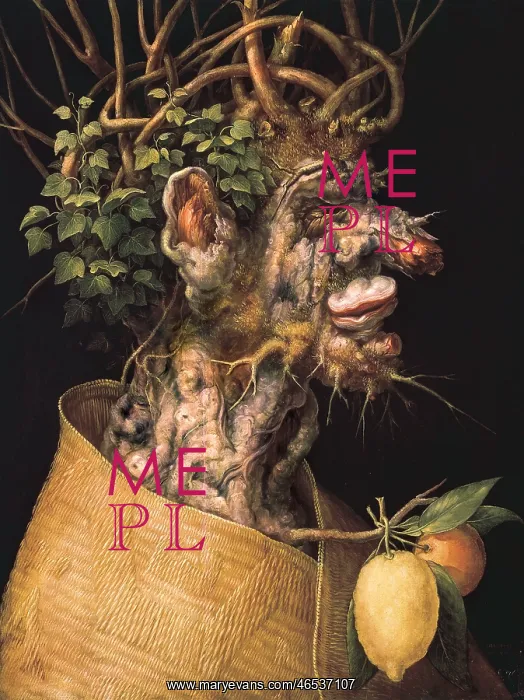 : ARCIMBOLDO, Giuseppe (1527-1593) : ARCIMBOLDO, Giuseppe (1527-1593)