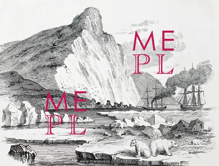 : Arctic Exploration: HMS Pioneer and HMS Resolute : Arctic Exploration: HMS Pioneer and HMS Resolute