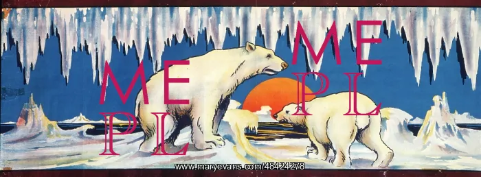 : Arctic sunset with polar bears in snow and ice : Arctic sunset with polar bears in snow and ice