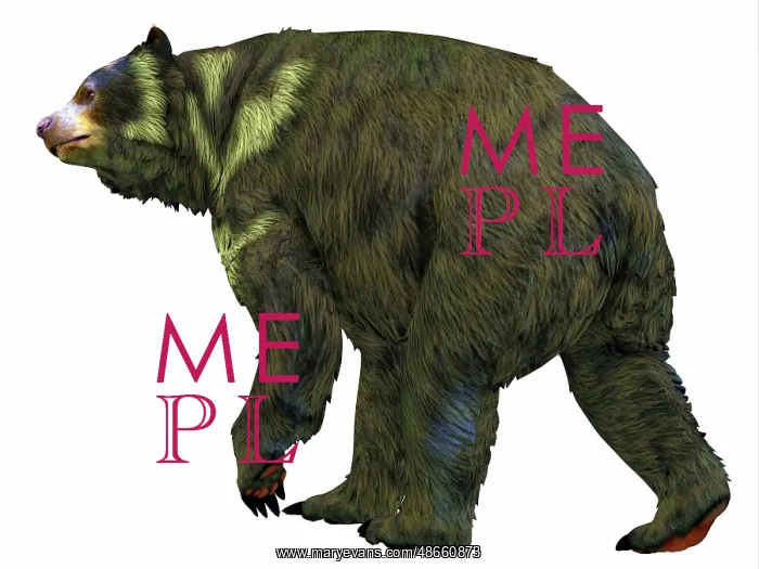 : Arctodus bear, white background : Arctodus bear, white background
