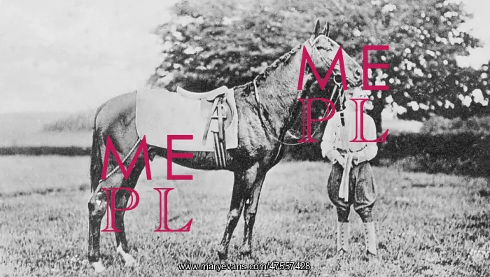 : Ard Patrick, Winner of the Epsom Derby in 1902 : Ard Patrick, Winner of the Epsom Derby in 1902