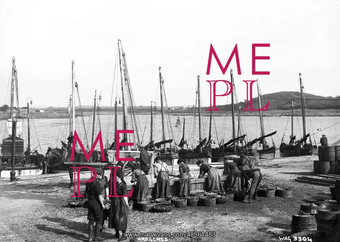 : Ardglass - a view of fish workers, mainly women : Ardglass - a view of fish workers, mainly women