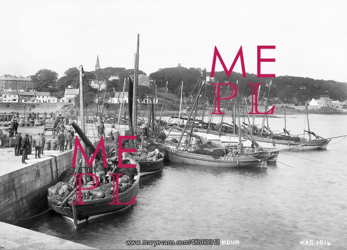  : Ardglass from the Harbour