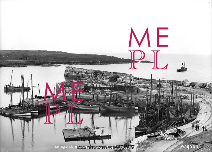 : Ardglass Harbour from the Castle : Ardglass Harbour from the Castle