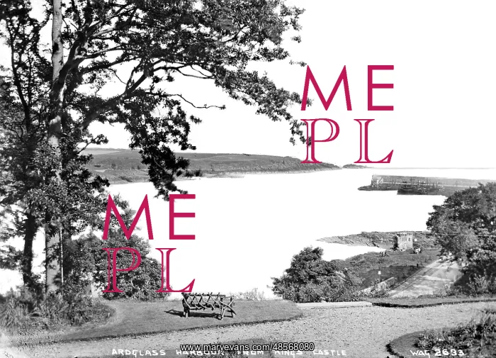 : Ardglass Harbour from Kings Castle : Ardglass Harbour from Kings Castle