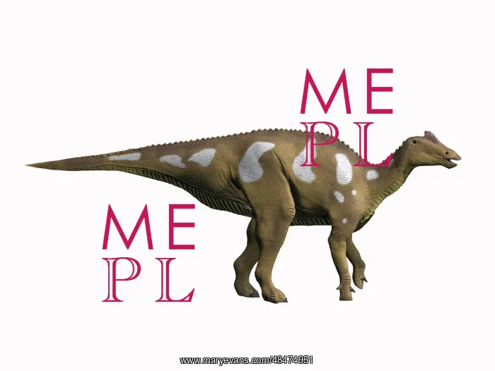 : Arenysaurus ardevoli, Late Cretaceous of Spain : Arenysaurus ardevoli, Late Cretaceous of Spain