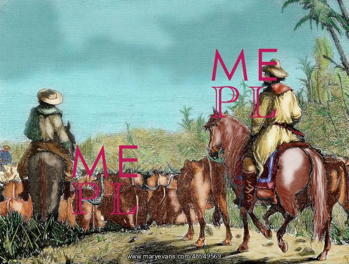 : Argentina. Gauchos driving cattle : Argentina. Gauchos driving cattle