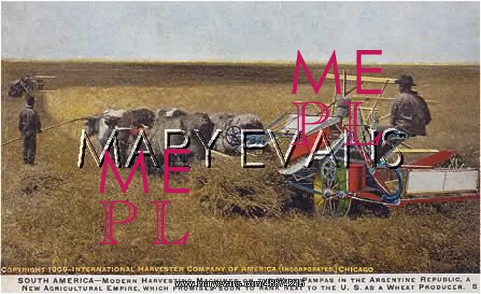 : ARGENTINA - HARVEST : ARGENTINA - HARVEST