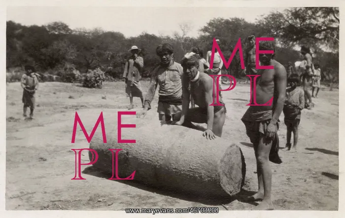 : Argentina - Indigenous Tribesmen roll a bottle tree trunk : Argentina - Indigenous Tribesmen roll a bottle tree trunk