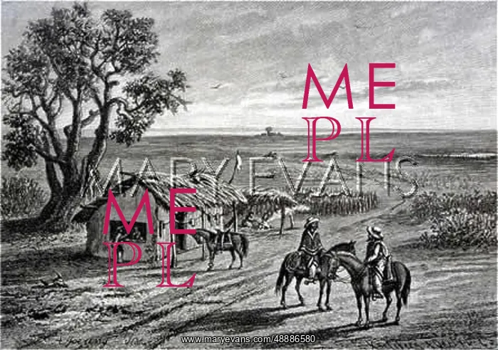 : ARGENTINA / PAMPAS / 1894