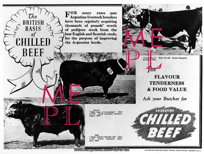 : Argentine beef : Argentine beef