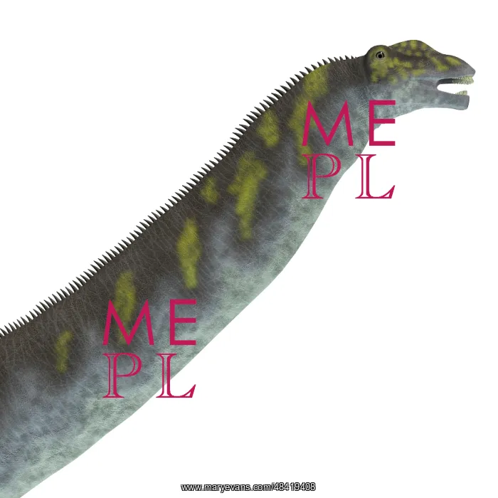 : Argentinosaurus dinosaur head : Argentinosaurus dinosaur head