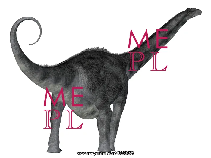 : Argentinosaurus dinosaur, rear view : Argentinosaurus dinosaur, rear view