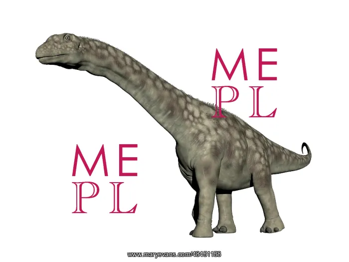 : Argentinosaurus dinosaur, white background : Argentinosaurus dinosaur, white background