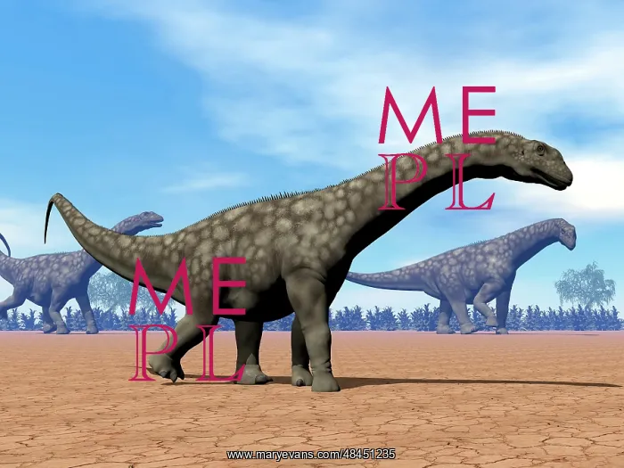 : Three Argentinosaurus dinosaurs walking in the desert : Three Argentinosaurus dinosaurs walking in the desert