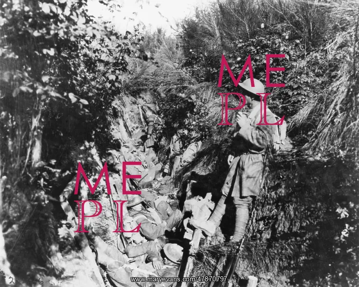 : Argonne 1917 : Argonne 1917
