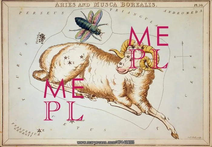 : Aries and Musca Borealis : Aries and Musca Borealis