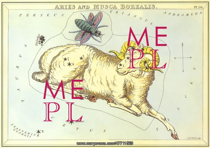 : Aries, the Ram with a Bee : Aries, the Ram with a Bee