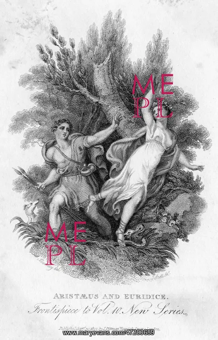 : ARISTAEUS & EURYDICE : ARISTAEUS & EURYDICE