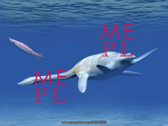 : Aristonectes plesiosaur attempts to make a meal of a ? : Aristonectes plesiosaur attempts to make a meal of a ?
