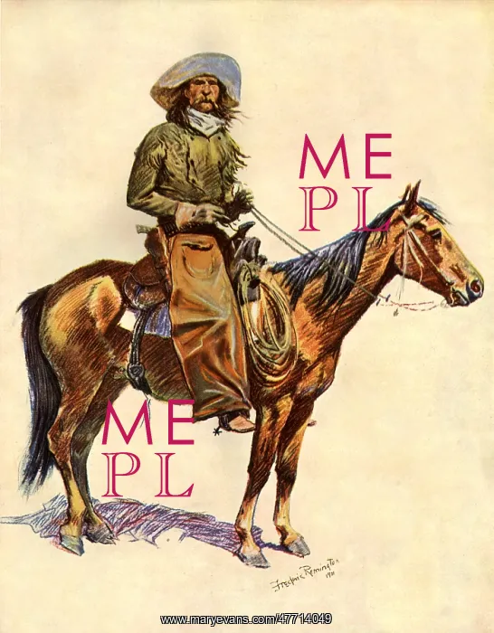  : An Arizona Cowboy