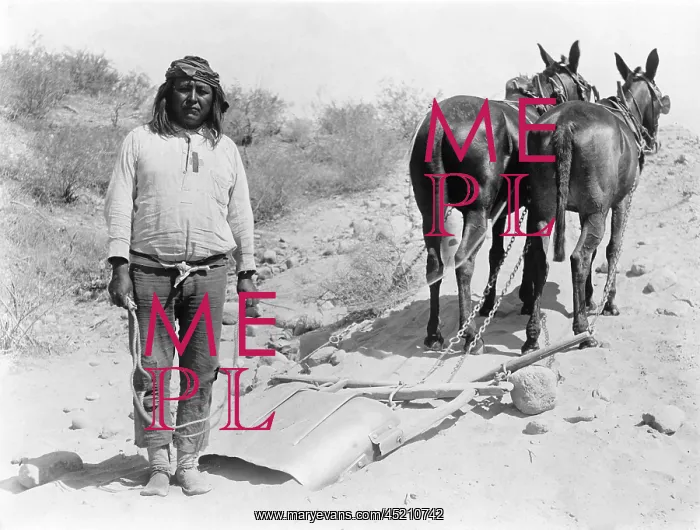 : Arizona's Salt River Project involved the ? : Arizona's Salt River Project involved the ?