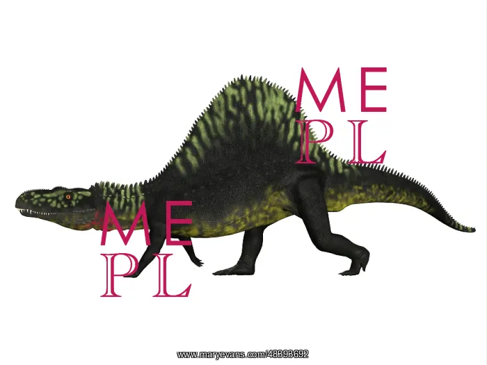 : Arizonasaurus dinosaur on white background : Arizonasaurus dinosaur on white background