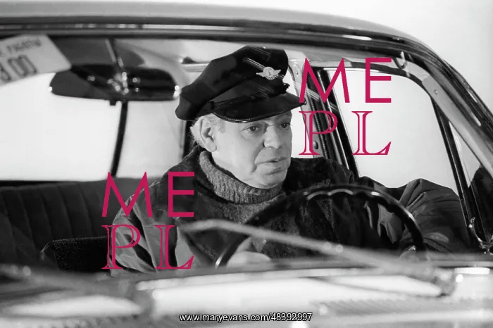: Arkady Raikin, 1974 : Arkady Raikin, 1974