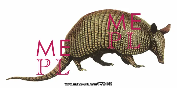  : Armadillo