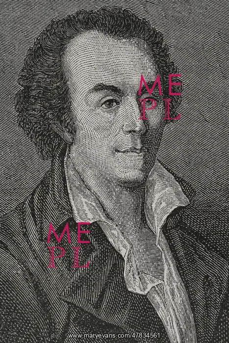: Armand de Kersaint (1742-1793). Count of Kersaint. Portrait : Armand de Kersaint (1742-1793). Count of Kersaint. Portrait