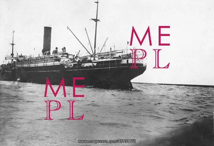 : Armed British steamship, 1916 : Armed British steamship, 1916