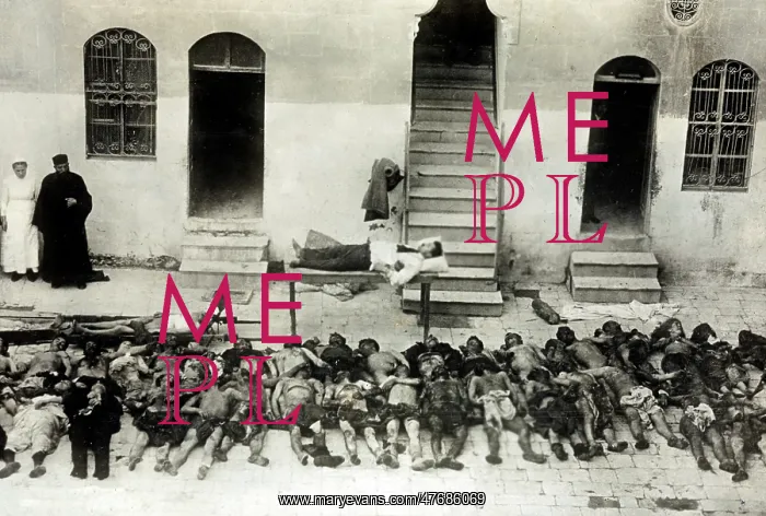 : Armenian Genocide, 1919 : Armenian Genocide, 1919