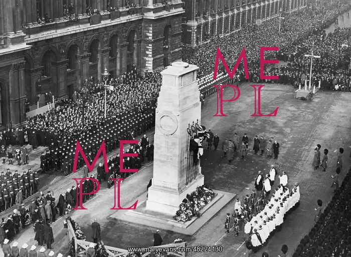 : Armistice celebration in London : Armistice celebration in London